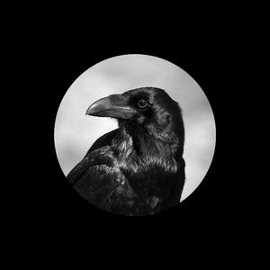 岩崎千鹤老熟女HD
